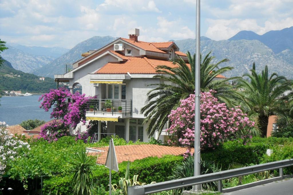 Palma Apartments Kotor Exteriér fotografie